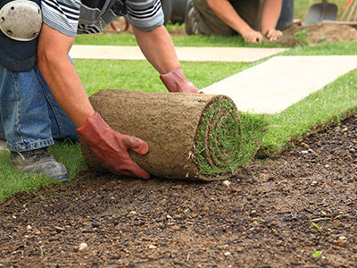 Sod Installation, Hollywood, CA