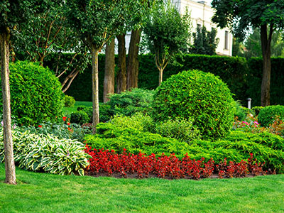 Landscape Services Burbank Glendale, Landscaping Companies In Los Angeles Ca